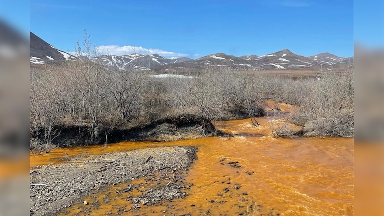 Scientists Find Climate Change Is Reducing Oxygen In Rivers Worldwide