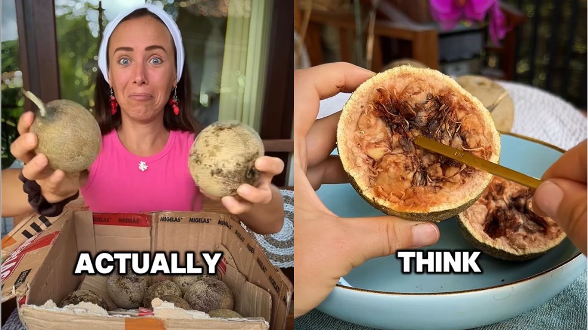 Desis Can't Stop Reacting To A Foreigner Calling Kodbel An 'Exotic Fruit'