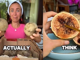 Watch: Foreigner Tries <i>Kodbel</i> For The First Time, Desis React To Her Calling It An "Exotic Fruit"