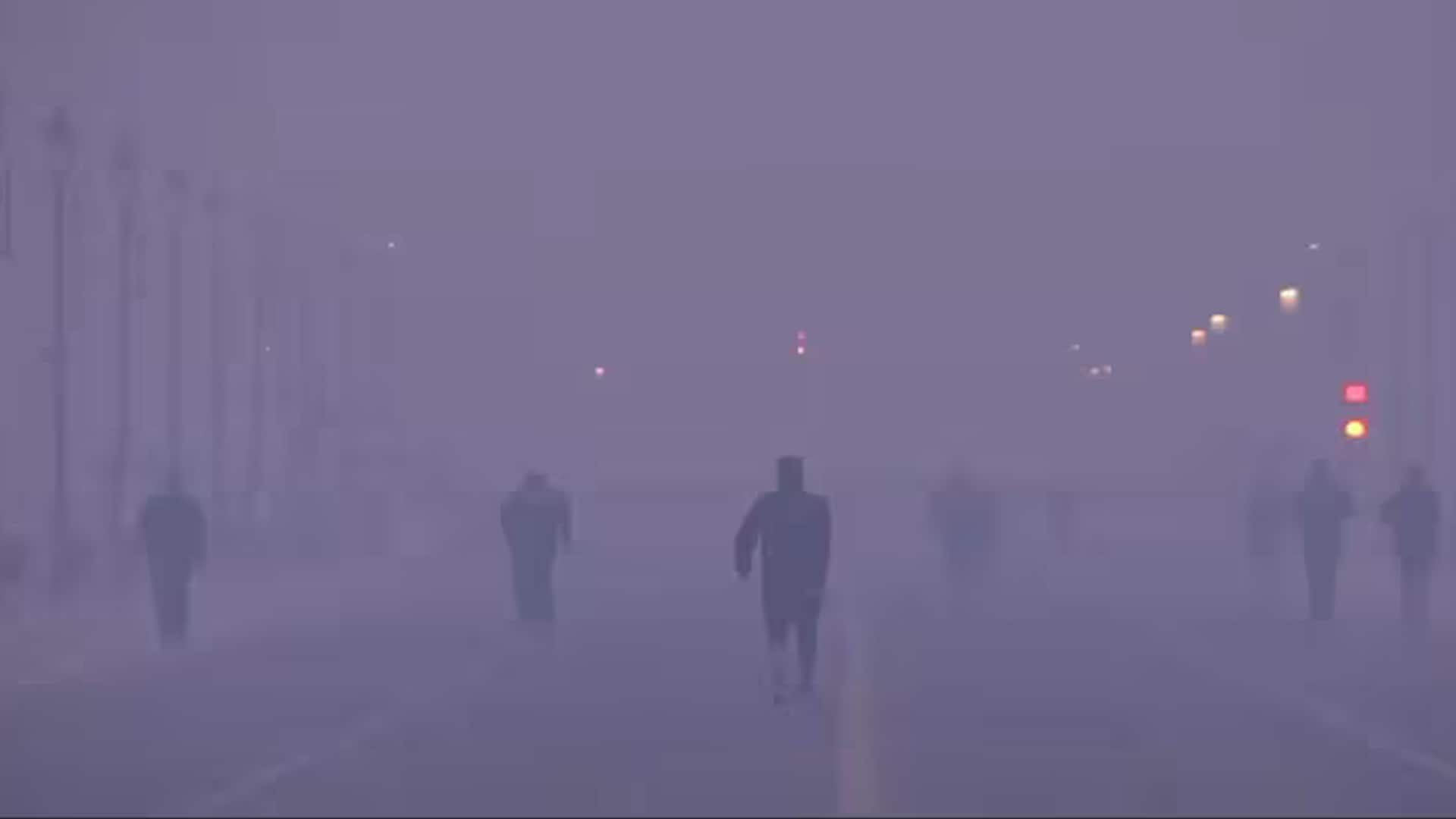 50% Work From Home Or Face Action: Delhi Government's Mandate Amid Pollution Crisis