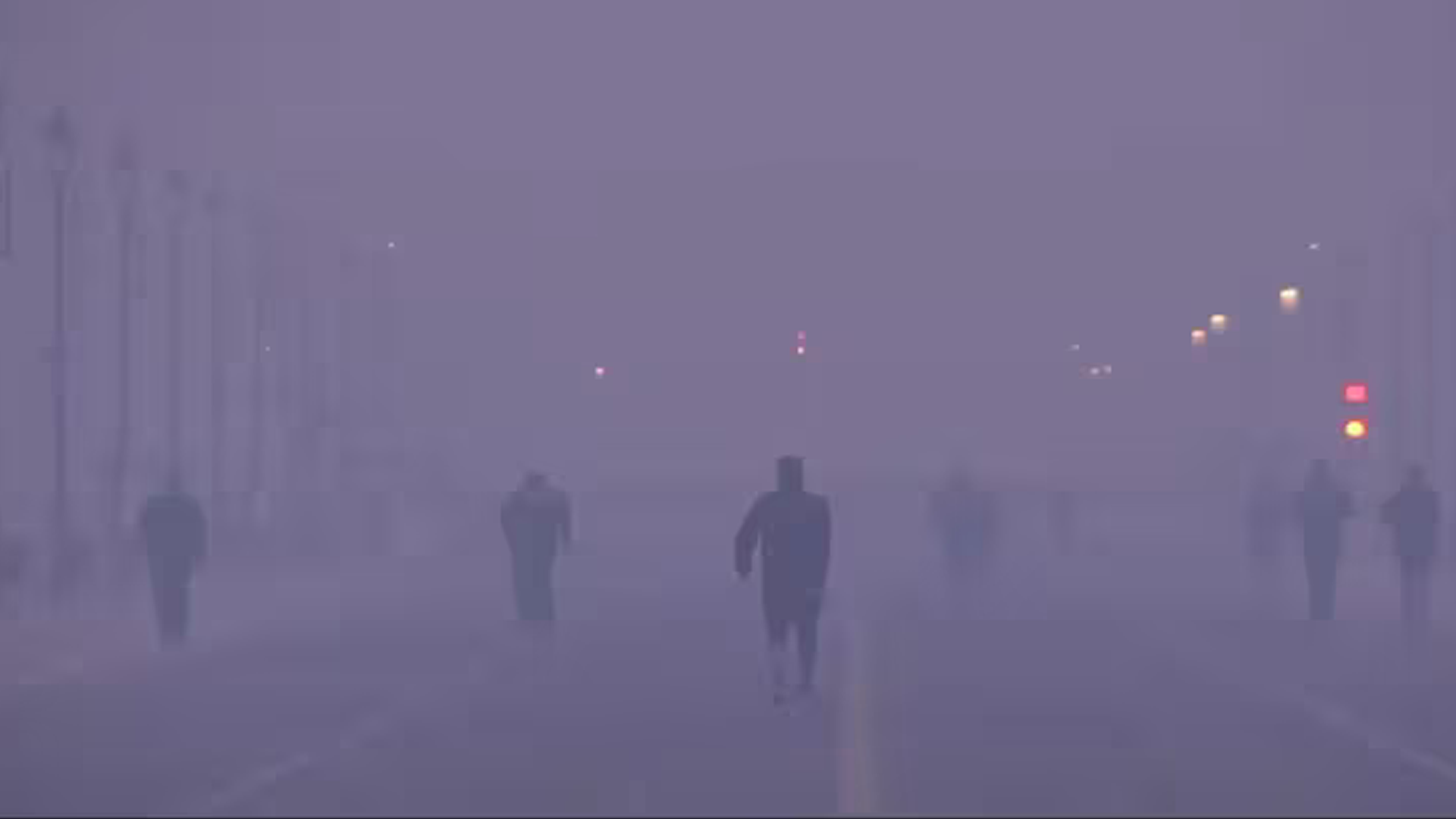 50% Work From Home Or Face Action: Delhi Government's Mandate Amid Pollution Crisis