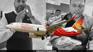 Pilot Arrested In Delhi Airport Passenger Assault Case Gets Bail