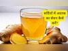 सर्दी-जुकाम और खांसी का असली पहरेदार है अदरक, जानें अदरक की तासीर और फायदे