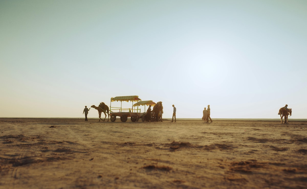 Latest and Breaking News on NDTV Latest and Breaking News on NDTV