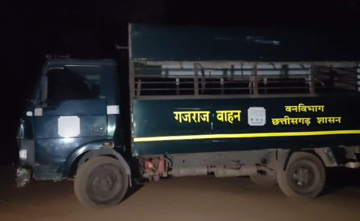 जब जंगल में खाना खत्म हुआ, मंडी बनी भोजनालय