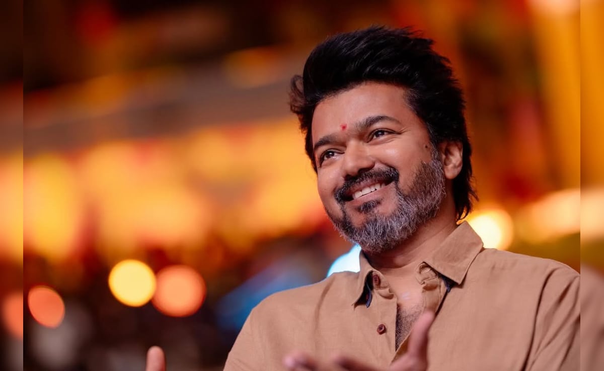 'Hope His Fans Take Him Places': Vijay's Co-Actor On Political Journey