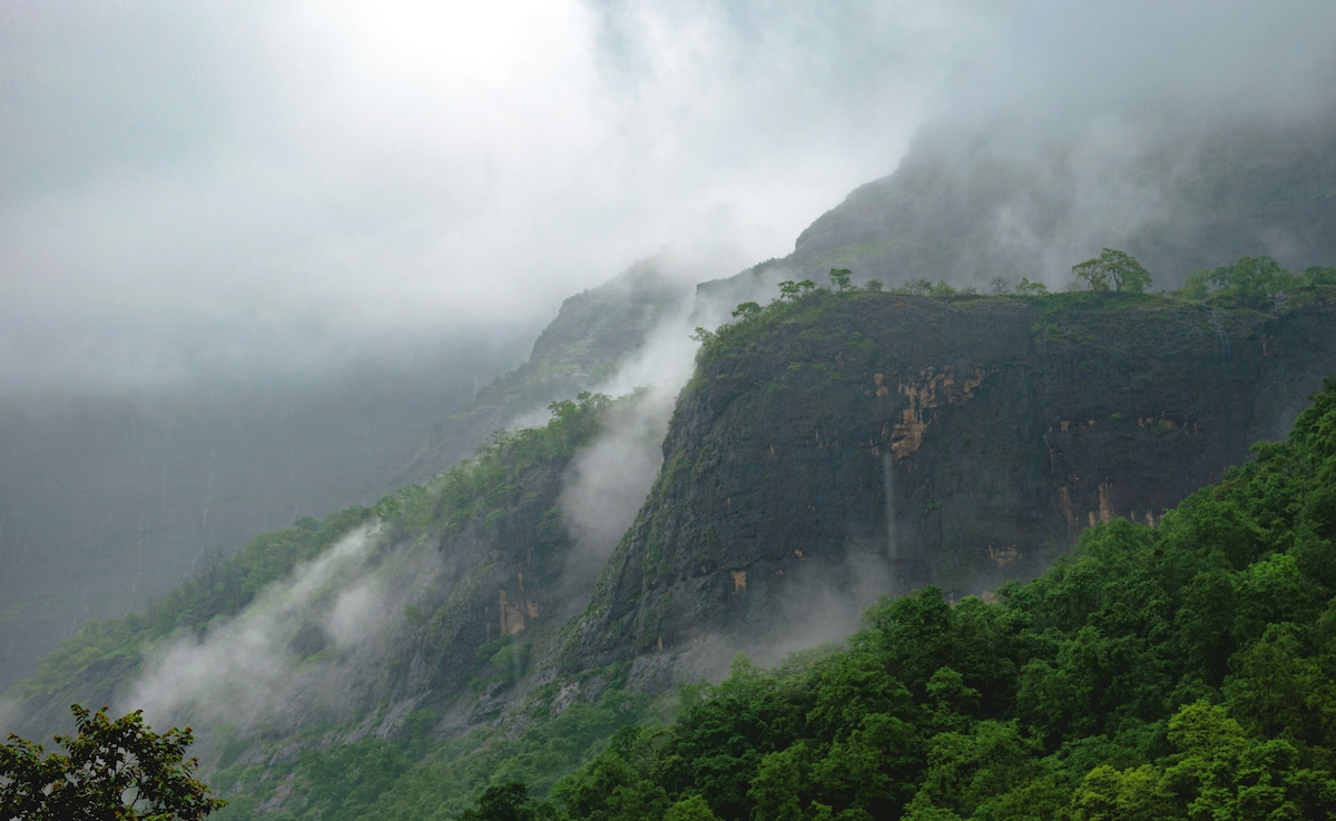 Latest and Breaking News on NDTV Latest and Breaking News on NDTV