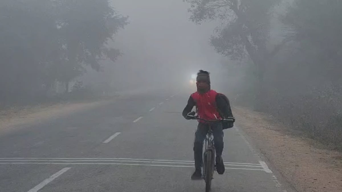 Tikamgarh Weather News: टीकमगढ़ में कोहरे के बीच स्‍कूल जाता छात्र. 