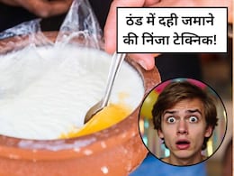 बाजार जैसा गाढ़ा दही जमाने का सीक्रेट वो भी कई तरीकों से, घर पर कैसे जमाएं दही