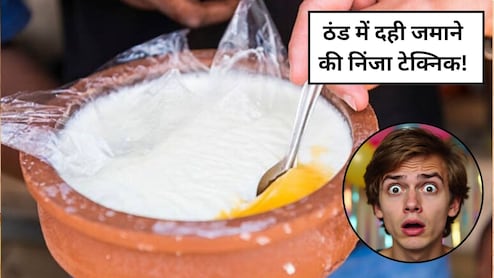 बाजार जैसा गाढ़ा दही जमाने का सीक्रेट वो भी कई तरीकों से, घर पर कैसे जमाएं दही