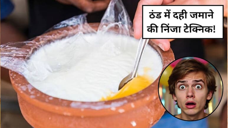बाजार जैसा गाढ़ा दही जमाने का सीक्रेट वो भी कई तरीकों से, घर पर कैसे जमाएं दही