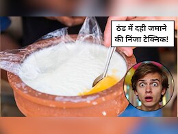 सर्दियों में गाढ़ी दही कैसे जमाएं, दही में कौन सा विटामिन पाया जाता है?