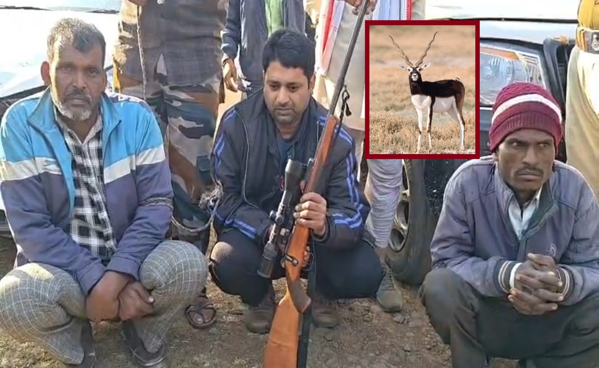 Blackbuck Poaching: सागर में काले हिरण शिकार कांड में बड़ा अपडेट; आरोपी रिमांड पर, वन विभाग व STF करेगा पूछताछ