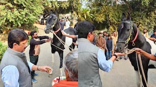 1.5 करोड़ के मारवाड़ी नस्ल के घोड़े के पास अपना खुद का पासपोर्ट, राजा भैया को किसने दिया ये दुर्लभ गिफ्ट