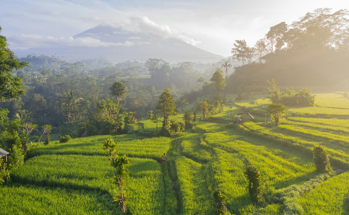 Latest and Breaking News on NDTV Latest and Breaking News on NDTV