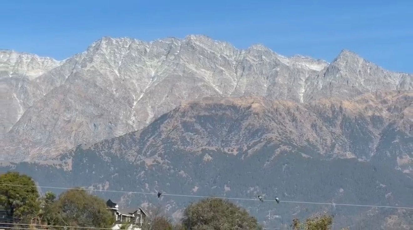 हिमाचल में धौलाधार की पहाड़ियां भी बर्फबारी की राह देख रही
