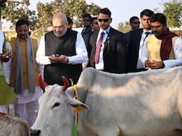 अमित शाह का MP दौरा: रीवा में बसामन मामा गोधाम को बताया प्राकृतिक खेती का मॉडल, बोले- केमिकल छोड़ो, सेहत और जमीन बचाओ