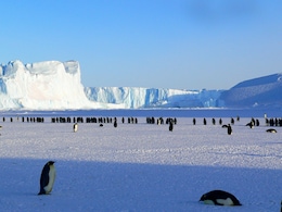 Man Gets Rs 1.3 Crore Job Offer In Antarctica, Debates Accepting It: '6 Months Is A Long Time'