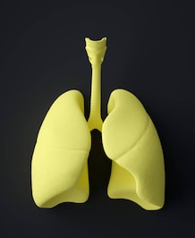 10 Foods Good For Lungs