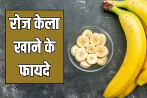 रोज केला खाने से शरीर में क्या होता है? जानें 1 दिन में कितने केले खाएं