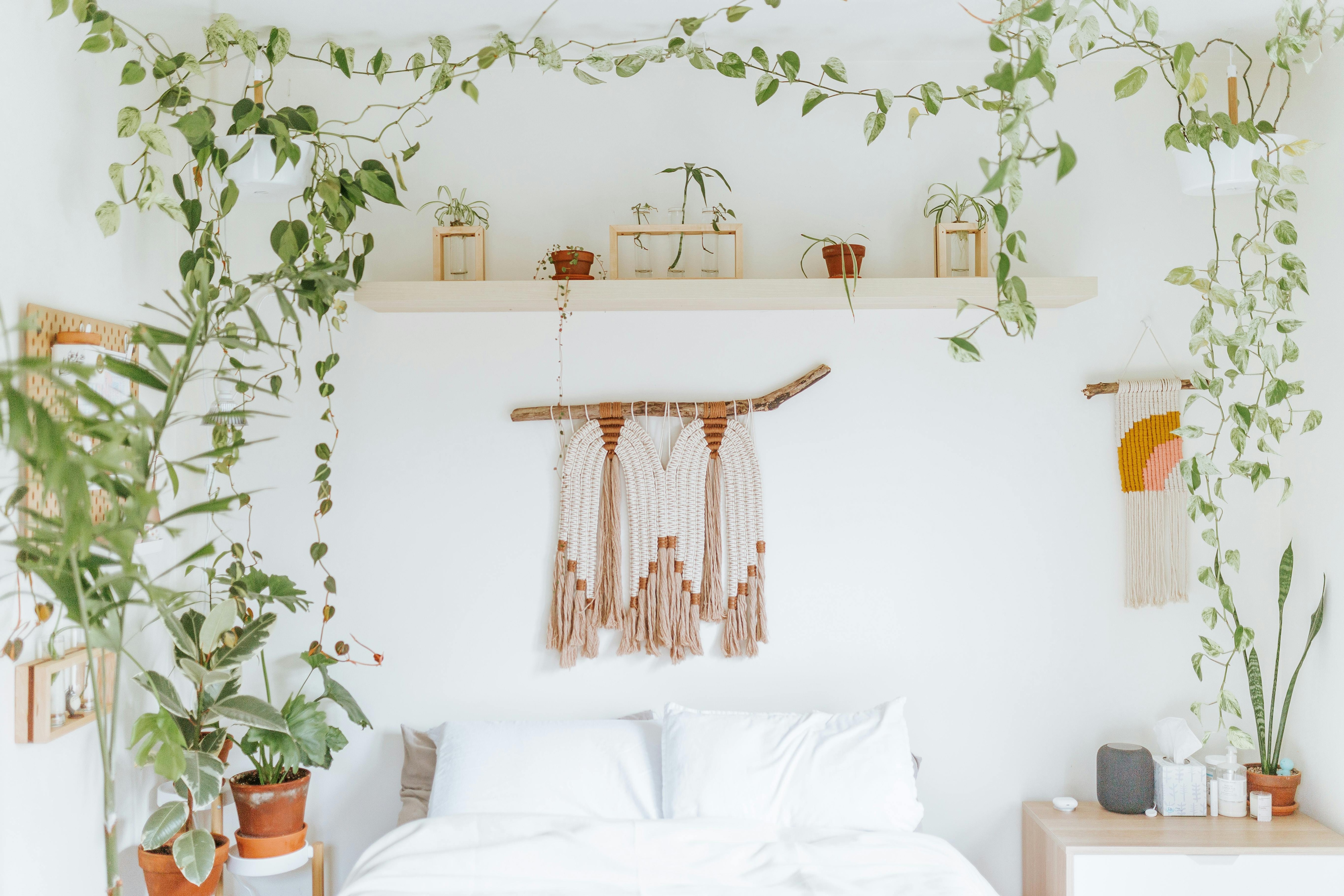 Here are easy tips to style your macrame hangings the right way