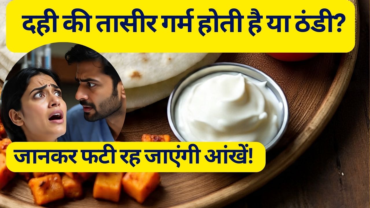 दही की तासीर गर्म होती है या ठंडी? जानें डाइटिशियन से | सही समय, फायदे और खाने का तरीका
