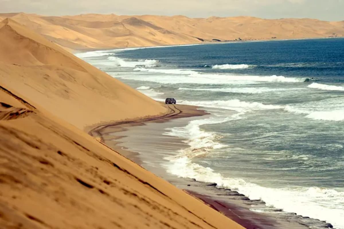 Latest and Breaking News on NDTV Latest and Breaking News on NDTV