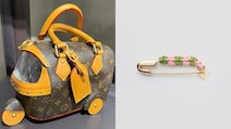 Rs 35 Lakh Bag To Rs 69,000 Safety Pin, Weirdest Fashion Launches Of 2025