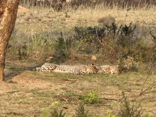 Latest and Breaking News on NDTV Latest and Breaking News on NDTV