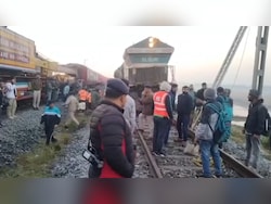 Many Elephants Killed By Rajdhani Express In Assam, Train Ops Hit