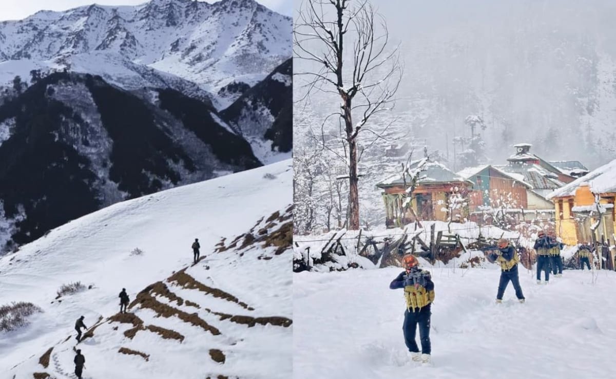 Latest and Breaking News on NDTV