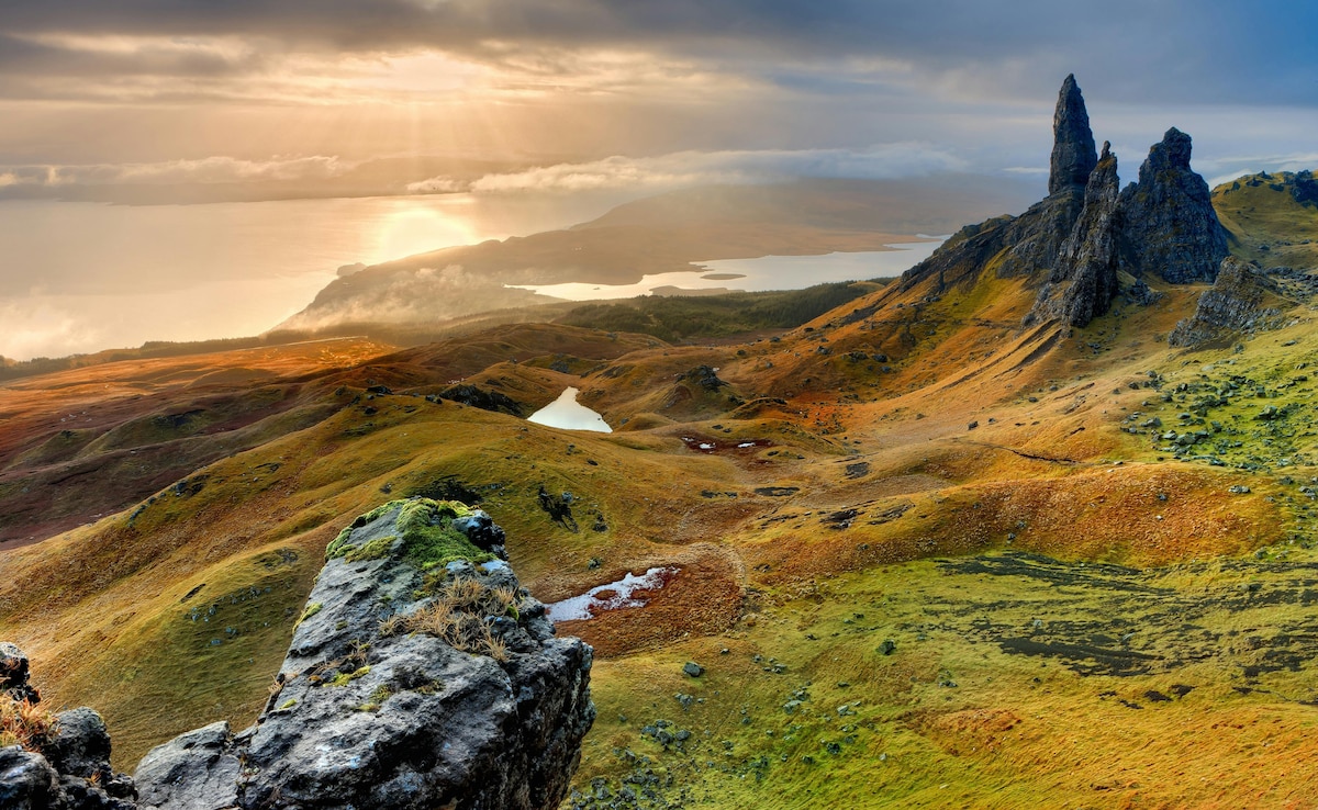 The Art of Baking: From Classic Bread to Artisan Pastries