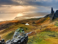 Woman Plays Dead After Being Crushed By Cows, Survives With 10 Broken Ribs