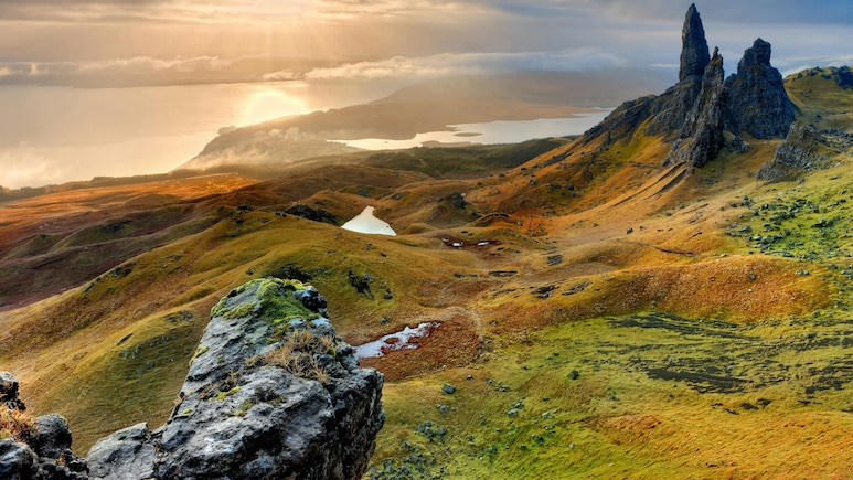 Woman Plays Dead After Being Crushed By Cows, Survives With 10 Broken Ribs