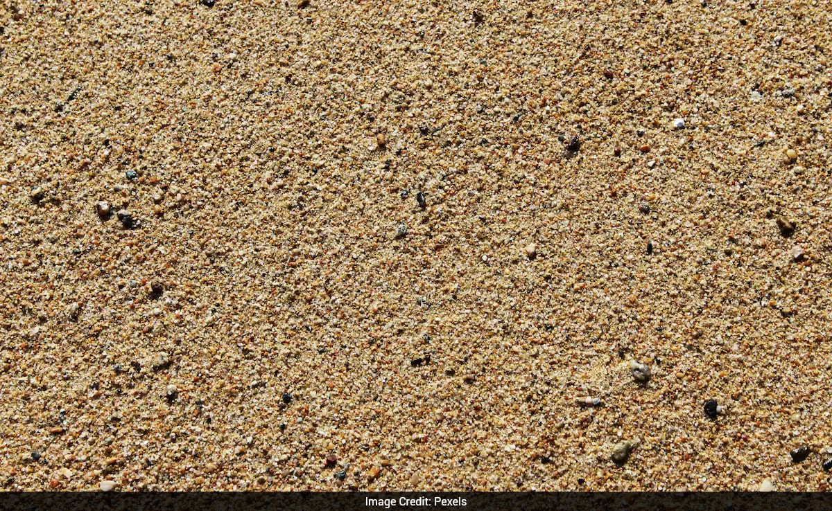 12-Year-Old Girl Trapped In Sand During Thanksgiving Outing In US Rescued