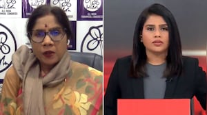 "BJP's Infiltration Claims Based On Lies": TMC Minister