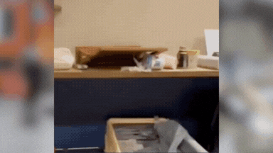 प्याले की तरह डोली धरती... जापान में भयानक भूकंप ने सबकुछ हिला दिया, रोंगटे खड़ा कर देगा ये वीडियो