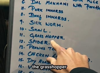 Porcupine, Snail, Grasshopper And More: Menu At Nagaland's Hornbill Festival 2025 Goes Viral