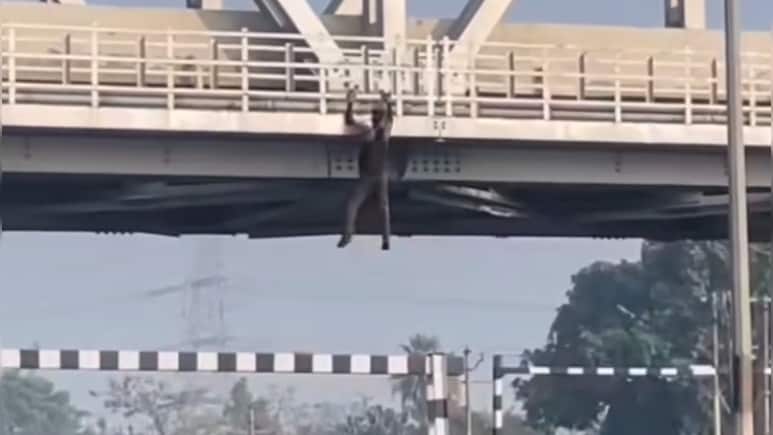 VIDEO : रेलवे पुल पर लटक खतरनाक स्टंट कर रहा शख्स, नीचे हाईवे से गुजर रही तेज रफ्तार गाड़ियां