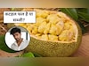 कटहल फल है या सब्जी, 99% लोगों को नहीं होगा पता