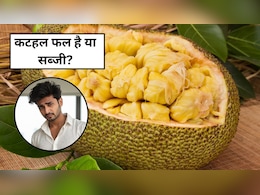 कटहल फल है या सब्जी, 99% लोगों को नहीं होगा पता