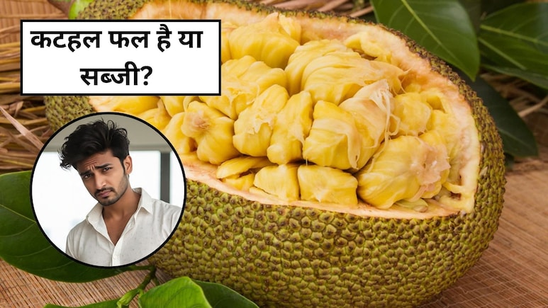 कटहल फल है या सब्जी, 99% लोगों को नहीं होगा पता