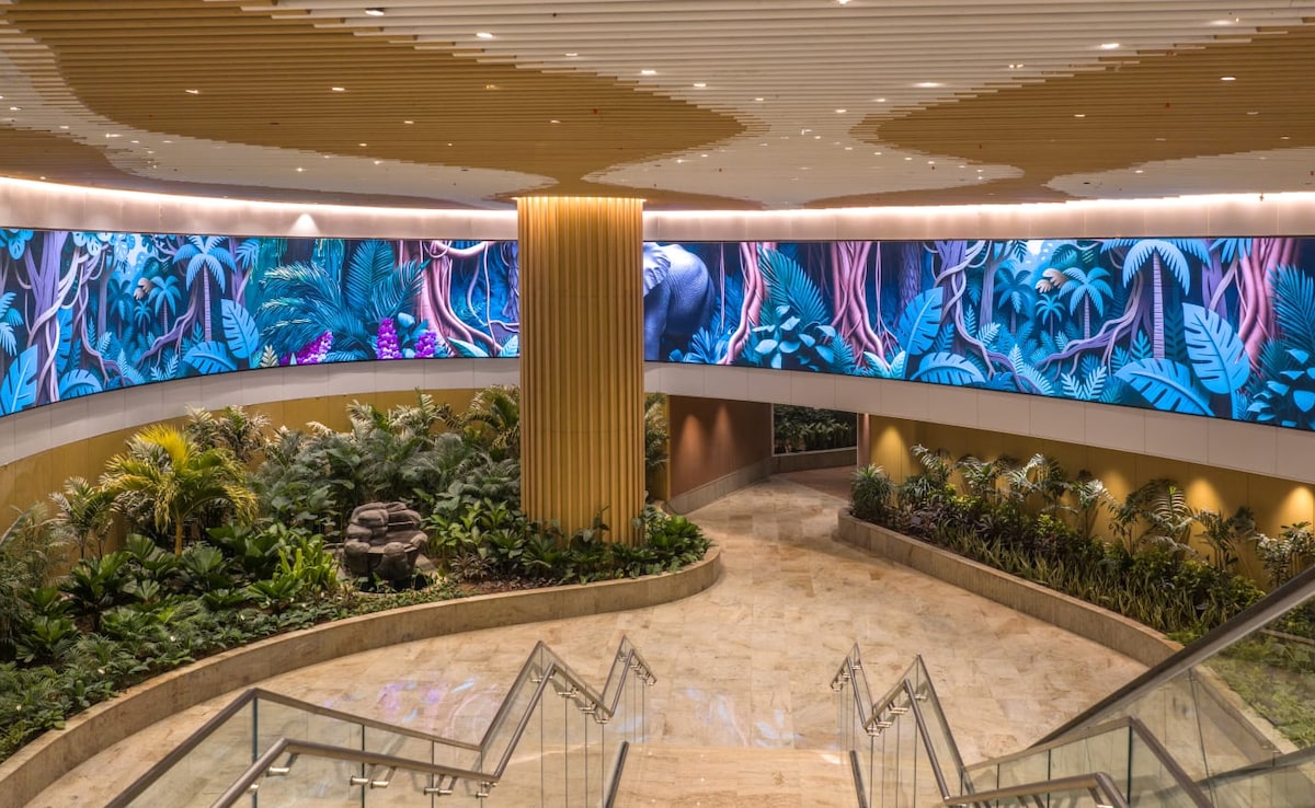 Latest and Breaking News on NDTV