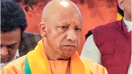 About 170 Sheep Mysteriously Die In UP, Yogi Adityanath Orders Probe