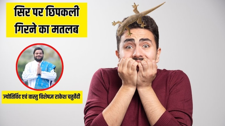 सिर पर छिपकली गिरने का क्या मतलब होता है? ज्योतिर्विद से जानिए