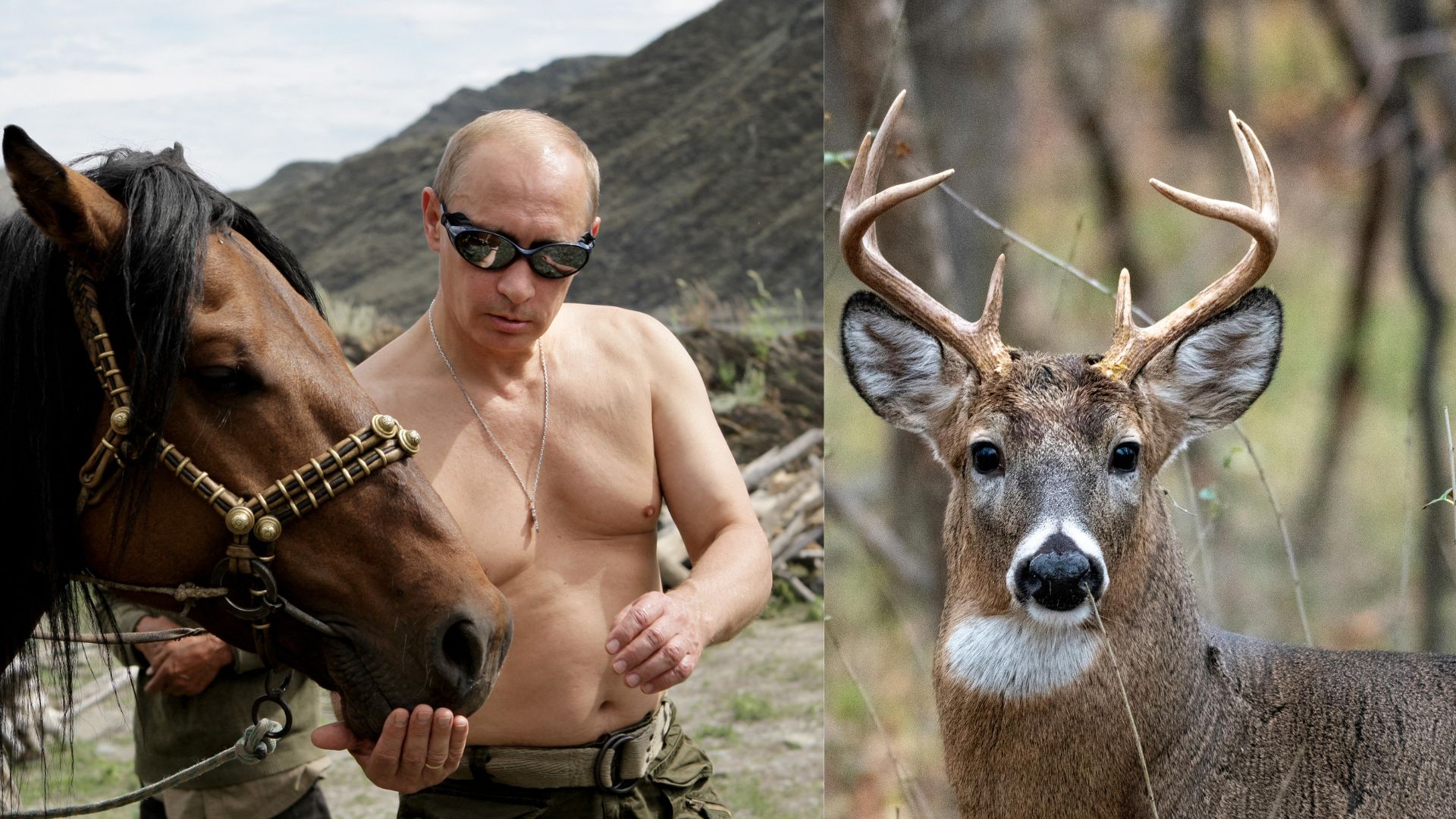 पुतिन का 'ब्लड बाथ' सीक्रेट... साइबेरियाई हिरणों के खून में छिपा रूसी राष्ट्रपति की फिटनेस का सच?