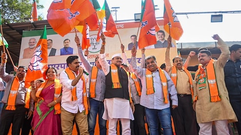 Maharashtra Election Result 2025: कधी विरोधक तर कधी मित्रांसोबत लढाई, भाजपने कशी रचली होती व्यूहरचना; वाचा सविस्तर