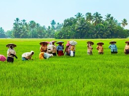 PM-Kisan की 21वीं किस्&zwj;त जहां से PM मोदी ने की थी जारी, वहां के नमक, नींबू और केला किसानों ने की 3 मांगें