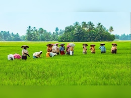 अहम रबी फसलों की बुआई 16.4 लाख हेक्टेयर बढ़ी, गेहूं की बुआई में सबसे ज़्यादा 6.13 लाख हेक्टेयर की बढ़ोतरी!