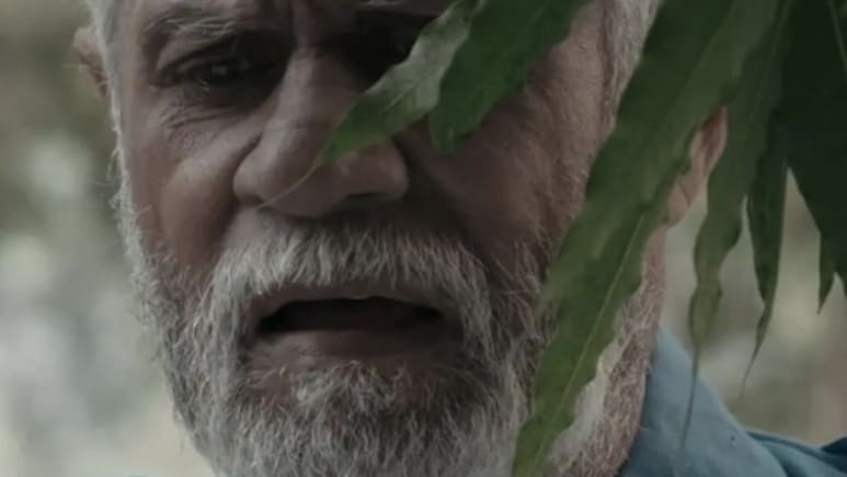 400 से ज्यादा फिल्में कर चुके लेजेंड्री एक्टर का निधन, 81 साल की उम्र में दुनिया को कहा अलविदा